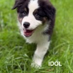 533640457_1230413305793577_87349262005182479_n