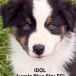 534151900_1230413755793532_7769493765770186299_n