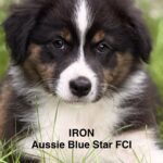 535401927_1230413662460208_5743125173138949050_n