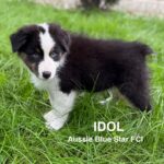 535736681_1230413792460195_4388901577113569105_n