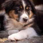 536246322_1230412865793621_1545112271499755438_n