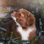 612932688_122226046328121816_4687482785648913651_n