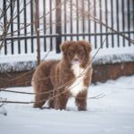 616803714_122226945038121816_3002764684339296192_n