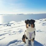 634876331_1241448391421848_2190623870689612202_n