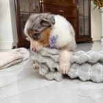 636989840_1220043700293631_8970855990625028889_n