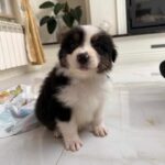 637391832_2161473764658873_5064742050194212106_n