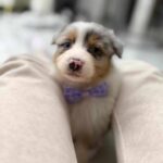 637762342_792614667218034_8476678949624074366_n