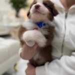 642175588_936204012203899_8691595704727754978_n