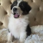 645444997_3834852663485784_1982892310664688017_n