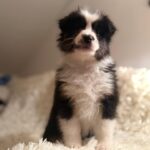 645691203_2671139456594244_2193481518813031473_n