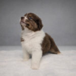 646204622_1251496210417066_6447476615535139563_n