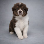 646590177_1251496257083728_2540779685689056138_n