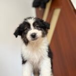 647289609_1652144889119767_4913587066270166803_n