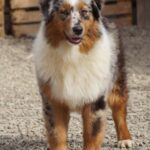 654744761_1265654495667904_5127224302019812435_n