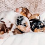 656848049_969145255796971_97031898864339248_n