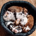 658200979_972452605466236_6356773837628725531_n