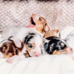 658222643_970190569025773_7240254704914893399_n