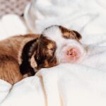 658858691_972751455436351_2901311969286339499_n