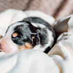 659066391_973350518709778_3637199122093401523_n