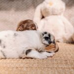 660120267_971010475610449_4281701470749588925_n