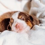 661685016_972751432103020_9004733334273908986_n