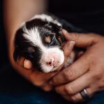 662042950_971895985521898_6114666858452446266_n