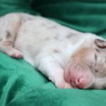 663328720_122234961794121816_3765023971632556587_n