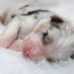 666001262_122234885978121816_5597493036344433372_n