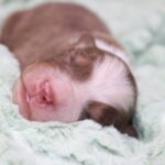 667023145_122235057512121816_6109132566647888527_n