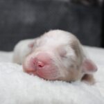 667323994_122235218048121816_9053384597843624566_n