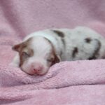 669461890_122235159530121816_2331845568543528572_n