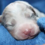 669874472_122235379484121816_8282679436227226615_n