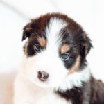 670338237_980428458001984_8670516278167222567_n