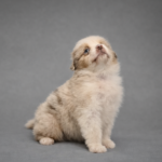 chatgpt image 1 mar 2026, 06_59_48