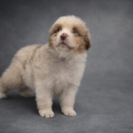 chatgpt image 1 mar 2026, 21_28_26