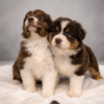 chatgpt image 1 mar 2026, 21_34_09