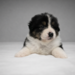 chatgpt image 2 mar 2026, 17_15_09