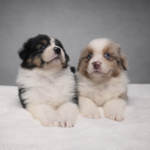 chatgpt image 2 mar 2026, 19_19_30