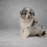 chatgpt image 2 mar 2026, 22_48_43