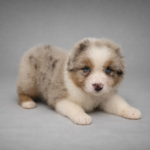 chatgpt image 25 lut 2026, 11_24_36