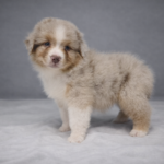 chatgpt image 27 lut 2026, 23_43_02