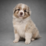 chatgpt image 28 lut 2026, 08_52_35