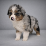 chatgpt image 3 mar 2026, 09_37_23