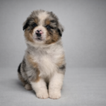 chatgpt image 3 mar 2026, 21_52_57