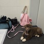 received_1749791142323236