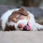 FB_IMG_1783807202097
