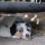 FB_IMG_1783807207296