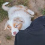 FB_IMG_1783807212699