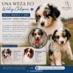 FB_IMG_1783808322359